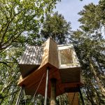 Dánský hotel nabízí ubytování v korunách stromů v moderním dřevěném apartmánu