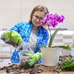 Květináče na orchideje vybírejte pečlivě. Mají vliv na správný růst